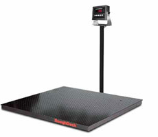 Scales for Rent, Scale Rentals, Rent a Scale